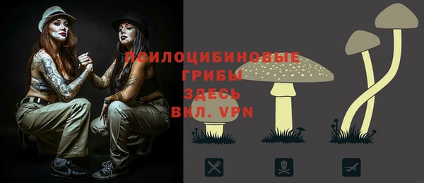 амф Беломорск