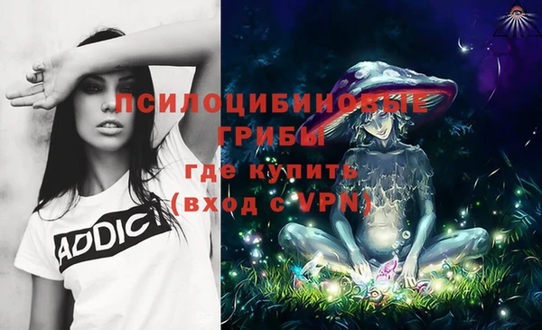 ГАЛЛЮЦИНОГЕННЫЕ ГРИБЫ Белокуриха