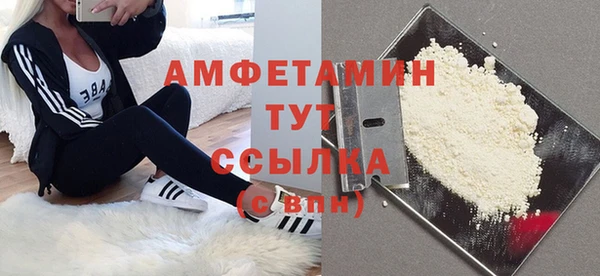 ГАЛЛЮЦИНОГЕННЫЕ ГРИБЫ Белокуриха