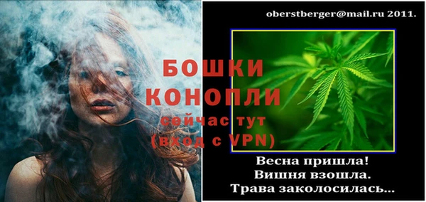 ГАЛЛЮЦИНОГЕННЫЕ ГРИБЫ Белокуриха